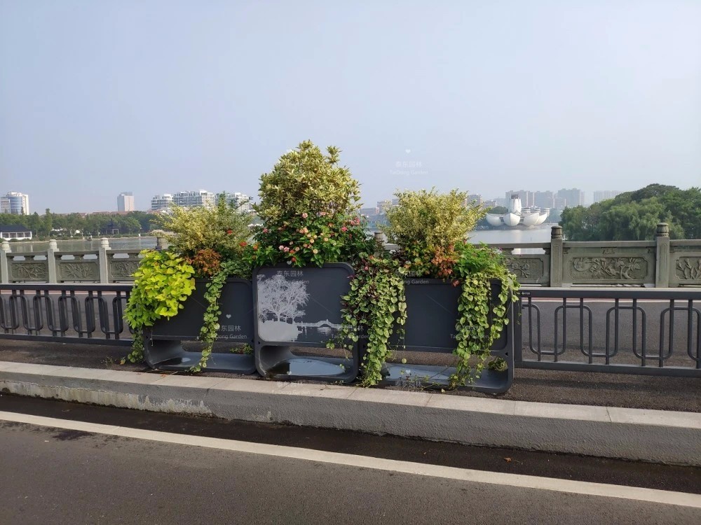 東湖景區花箱3.jpg